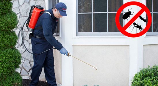 Soğukkuyu Tahtakurusu İlaçlama böcek ilaçlama ve haşere kontrolü — ilaclama-tr.com